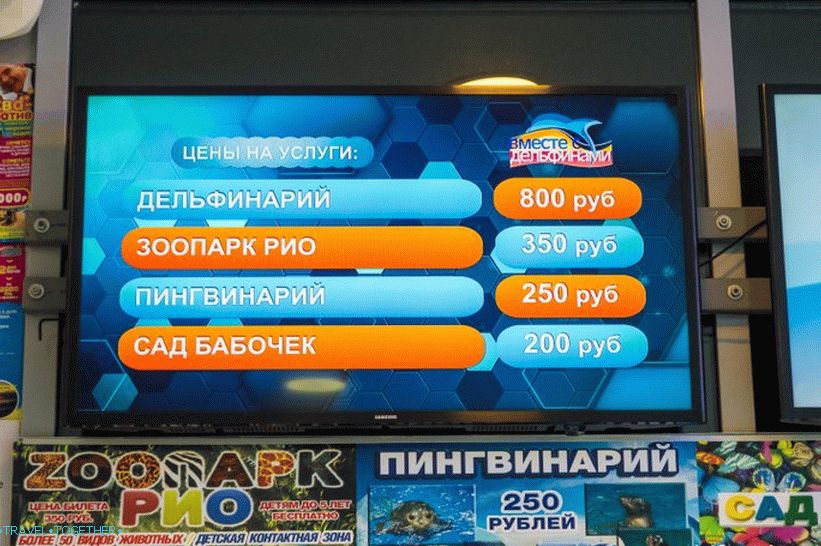 Dolphinarium Riviera in Sochi - family holidays with dolphins