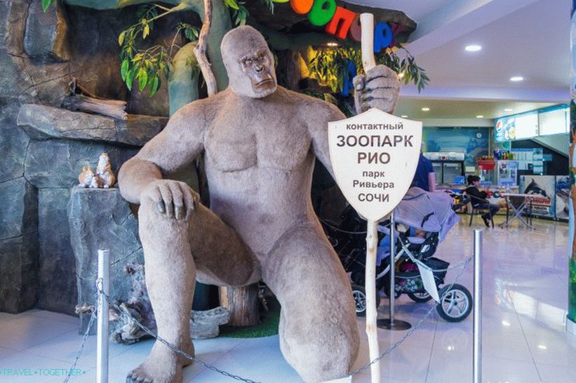 Dolphinarium Riviera in Sochi - family holidays with dolphins