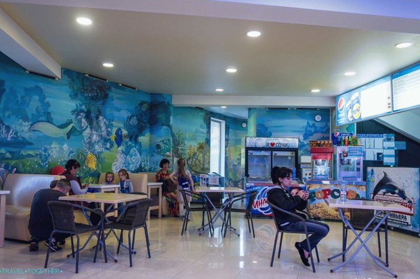 Sochi Dolphinarium in the Riviera Park