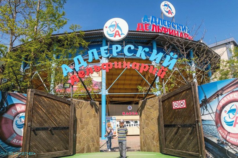 Dolphinarium in Adler