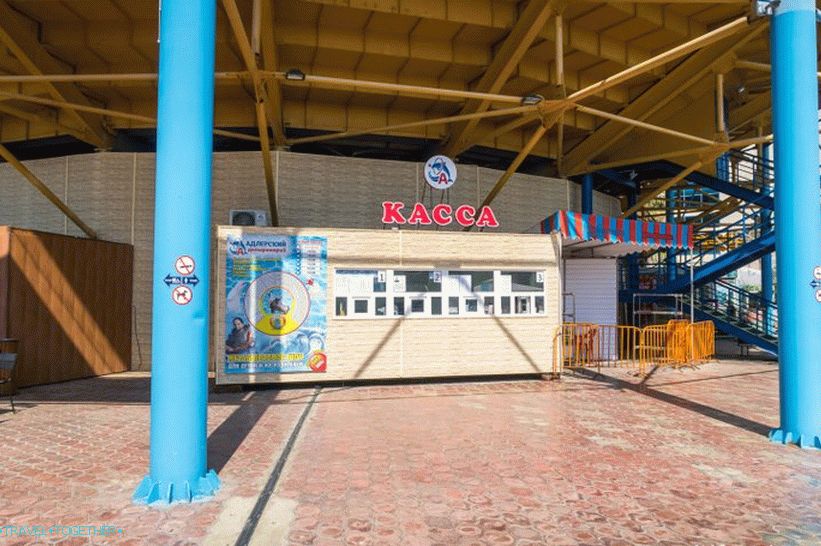 Dolphinarium in Adler (formerly Aquatorium) - for the inexperienced