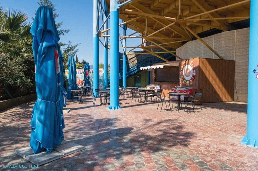 Dolphinarium in Adler (formerly Aquatorium) - for the inexperienced