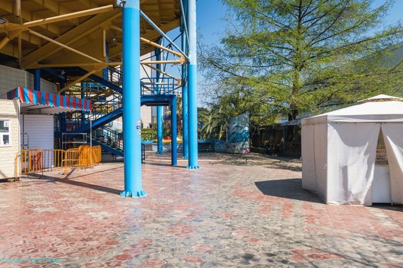 Dolphinarium in Adler (formerly Aquatorium) - for the inexperienced