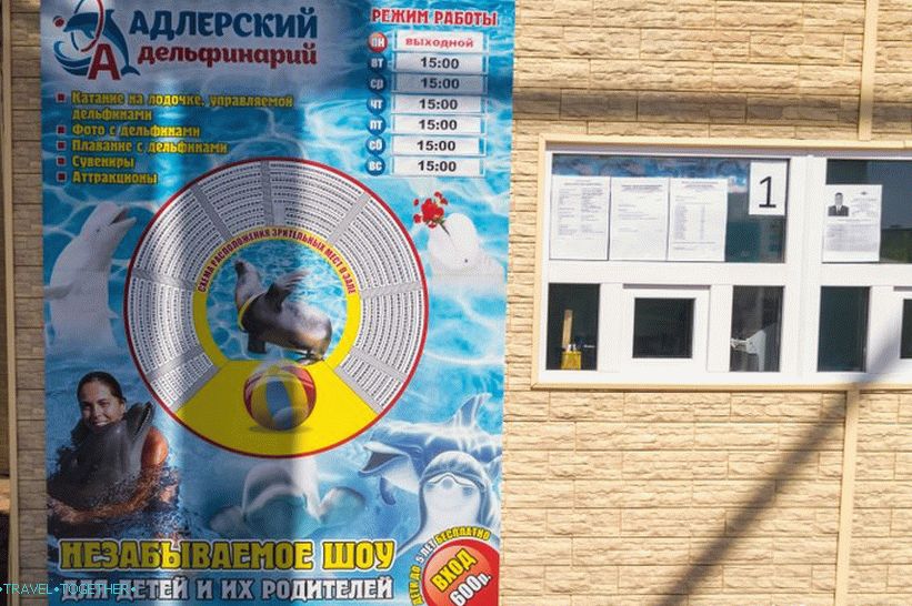 Dolphinarium in Adler (formerly Aquatorium) - for the inexperienced