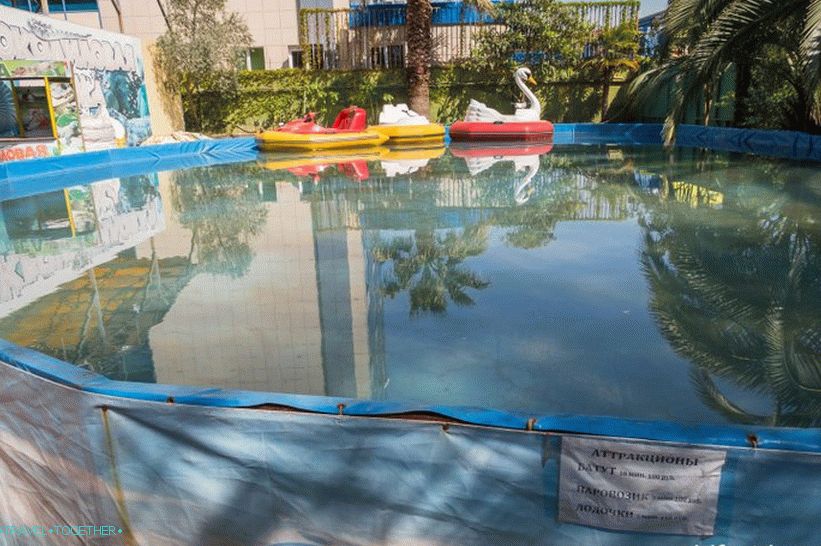 Dolphinarium in Adler (formerly Aquatorium) - for the inexperienced