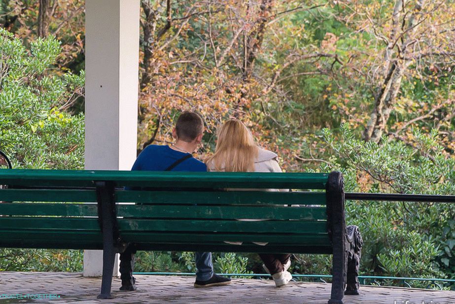 dendrarij-sochi-12