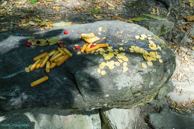 Dolmens in Krasnaya Polyana - a landmark for an amateur