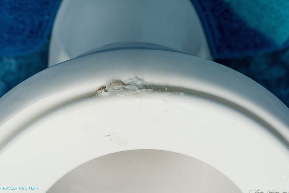 The lid of the toilet bowl is casually stuck