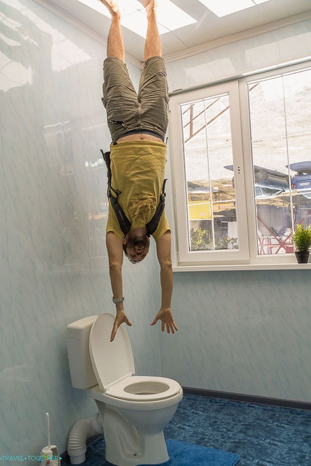 Now diving into the toilet