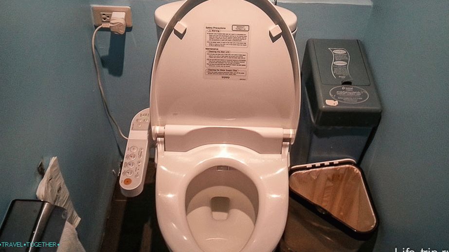 A terrible toilet, ran away immediately, as I saw
