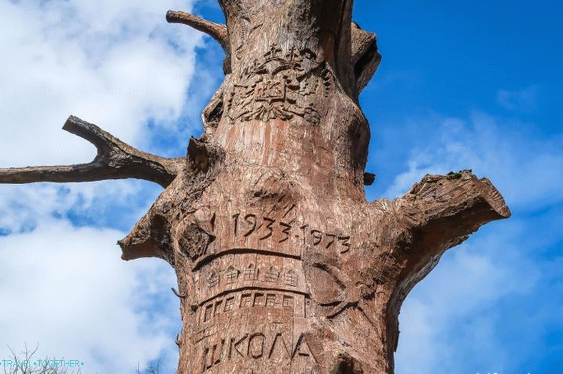 The oak in the village of Estosadok is a relic of the Estonian community