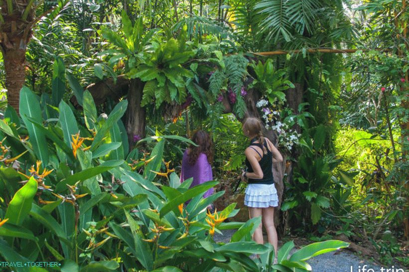 Dusit Dhewa - cultural center on Koh Samui