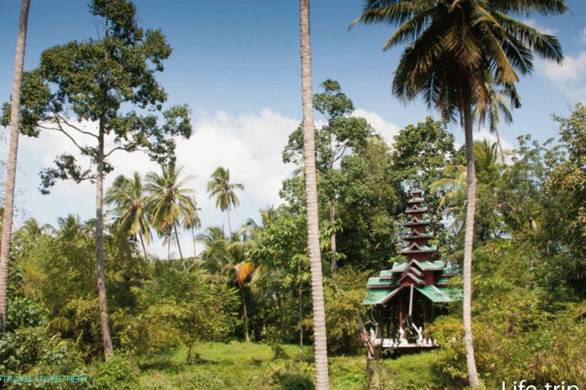 Balinese style pagoda in the depths of the territory