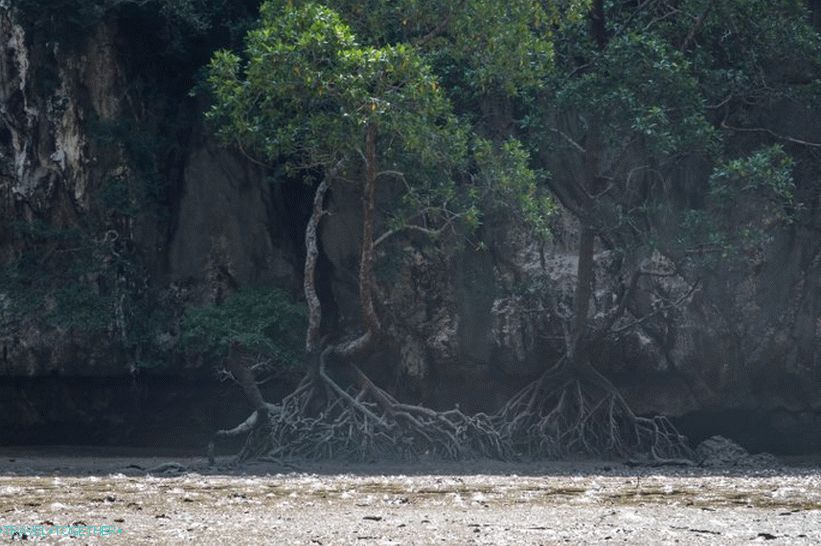 Excursion to the island of James Bond in Thailand - my review