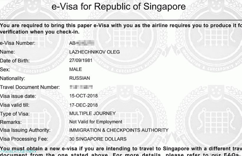 This is how my e-visa to Singapore looks like