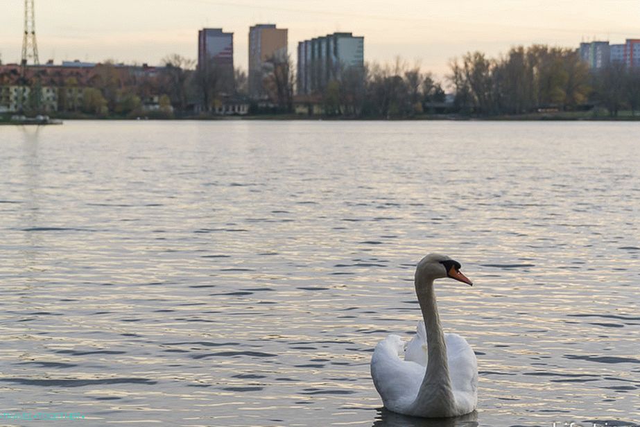 City Park in Petrzhalka