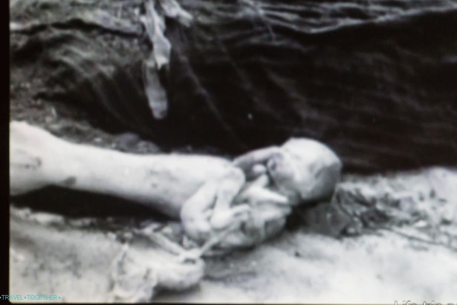 Photos on the Russian exposition