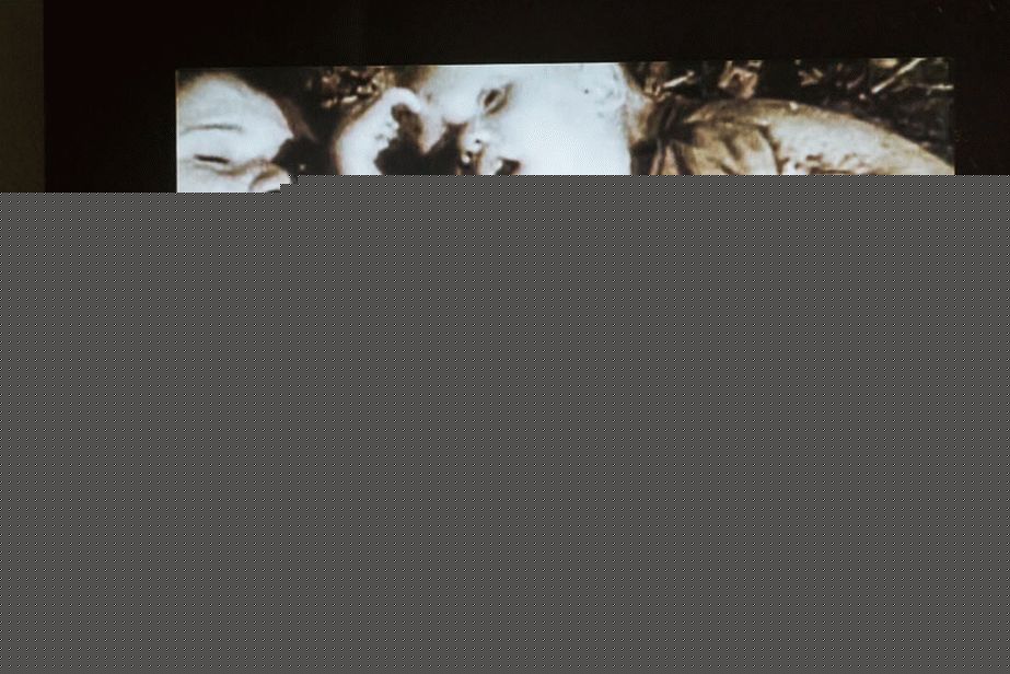 Photos on the Russian exposition