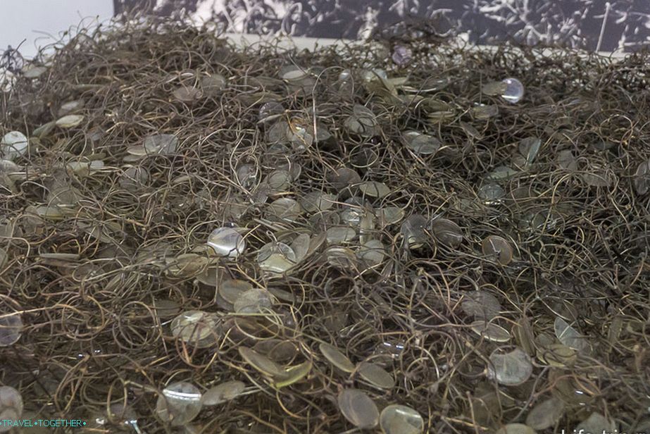 Prisoners' Things - Thousands of Points