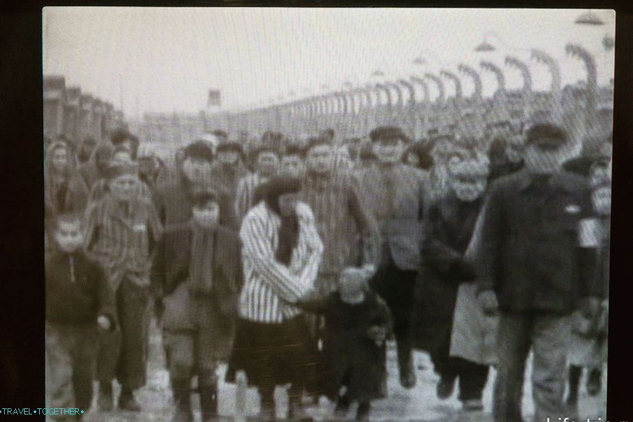 Photos on the Russian exposition