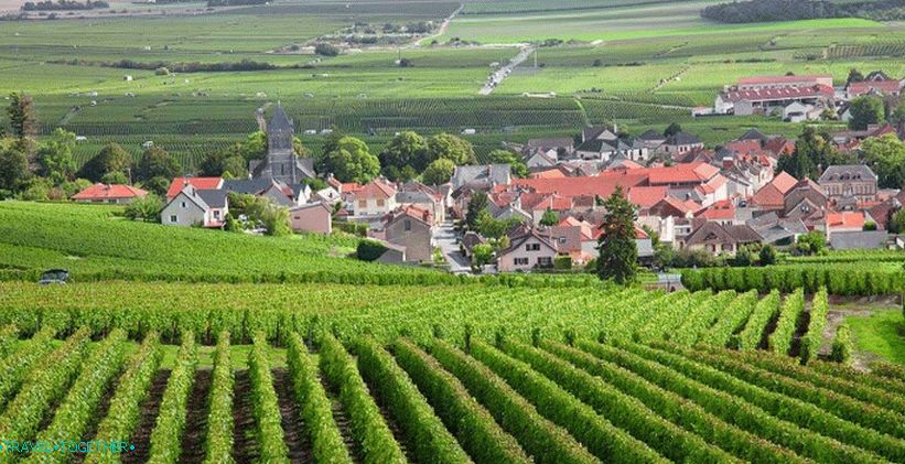 Vineyards of Burgundy