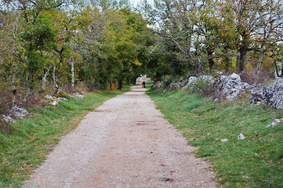 On this alley, I walked to the dolmen
