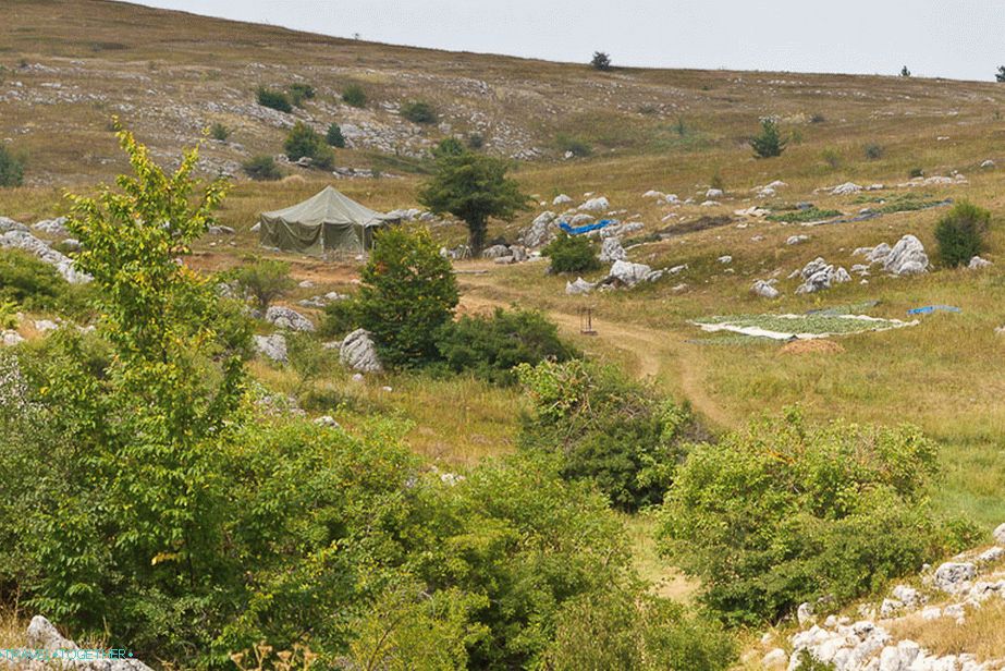 Camp cavers
