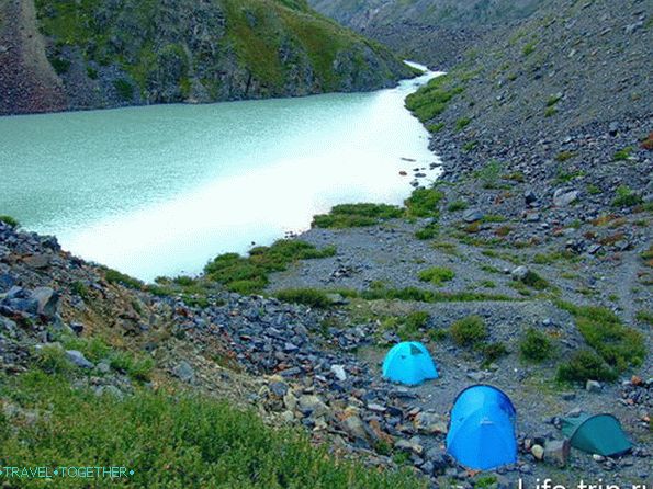 Mountain Altai. At an altitude of 2500m.