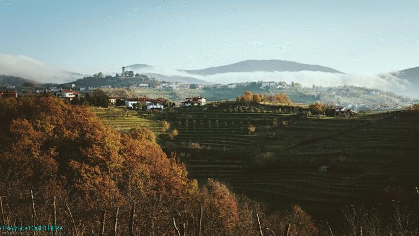 Fog on the hills in Goriska Brda