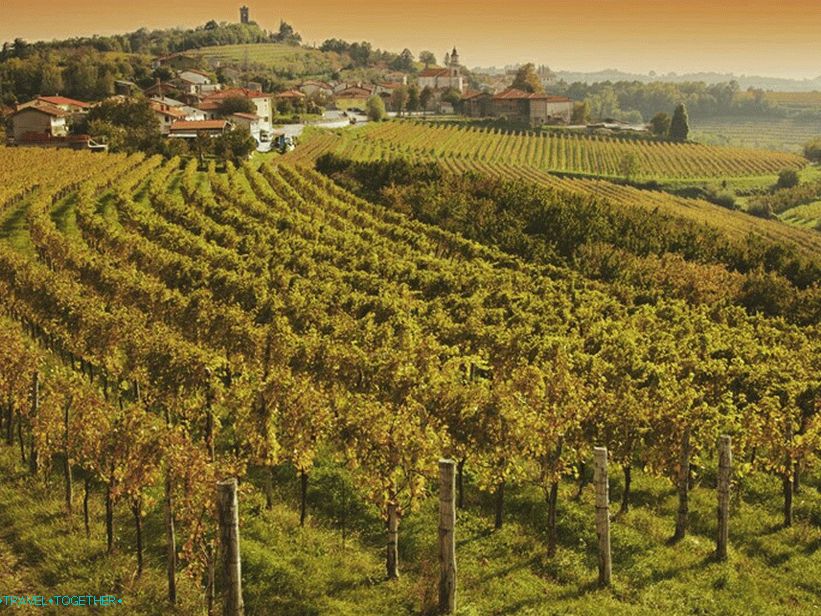 Nature of the region