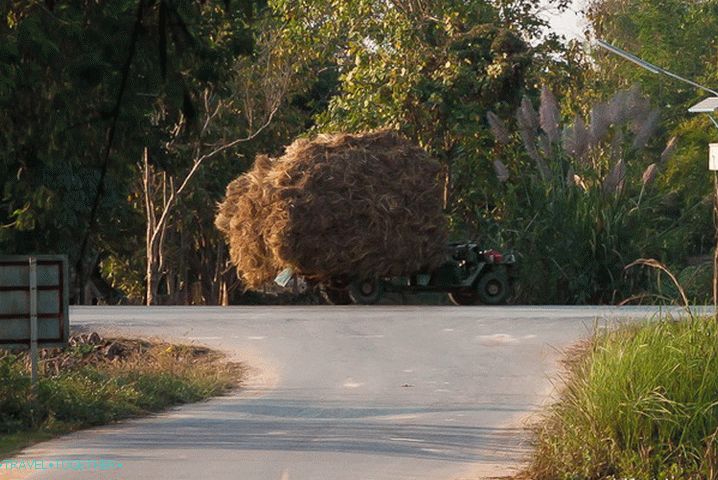 Hay machine or machine-hay