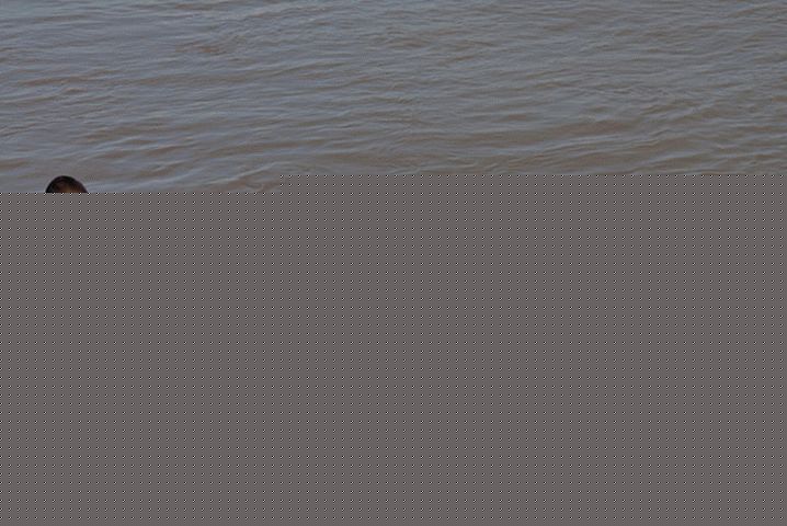 The locals of Chiang Saen