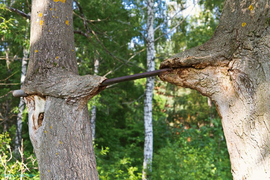 The horizontal bar practically sucked into the trees