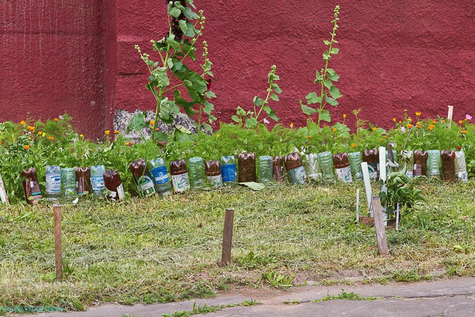A flower bed with a plastic bottle fence