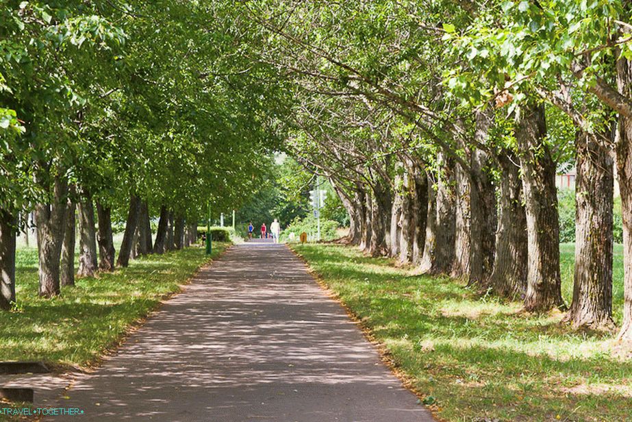 Not a city, but continuous avenues