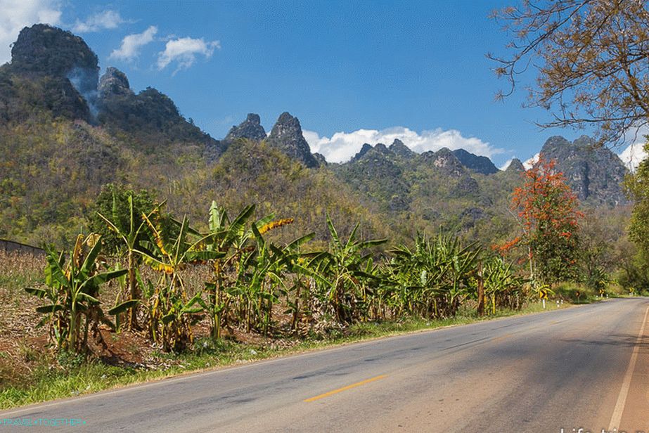 A beautiful road leads to Fang