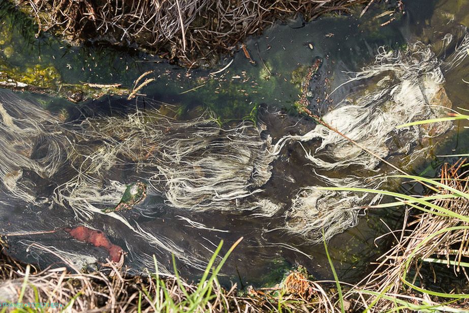 Here is such a little water flowing through the ditches, hot!