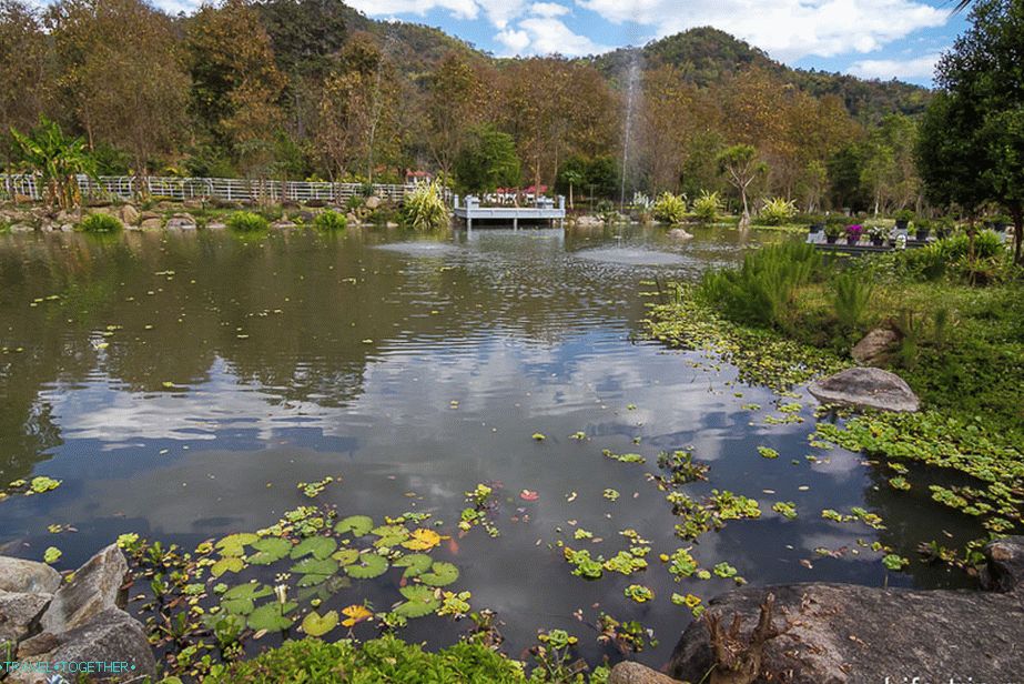 Pond in nat park