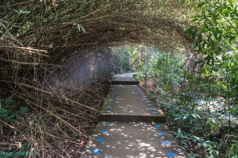 Or by Natural Trail