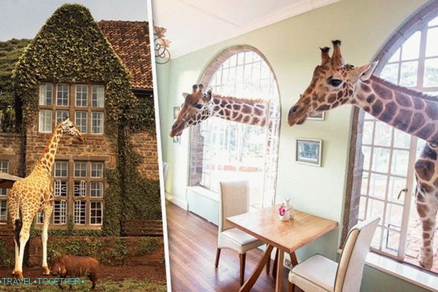 GIRAFFE-MANOR