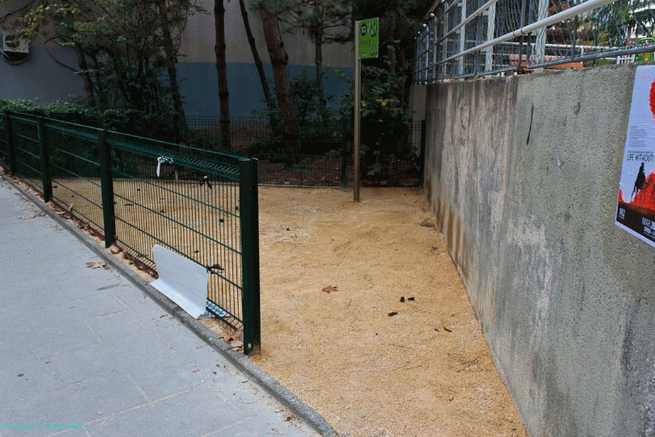 Special Snook for Dog Needs