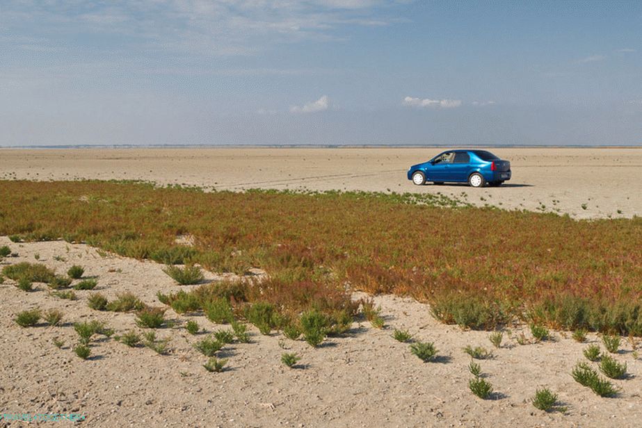 Your car might be at this place.