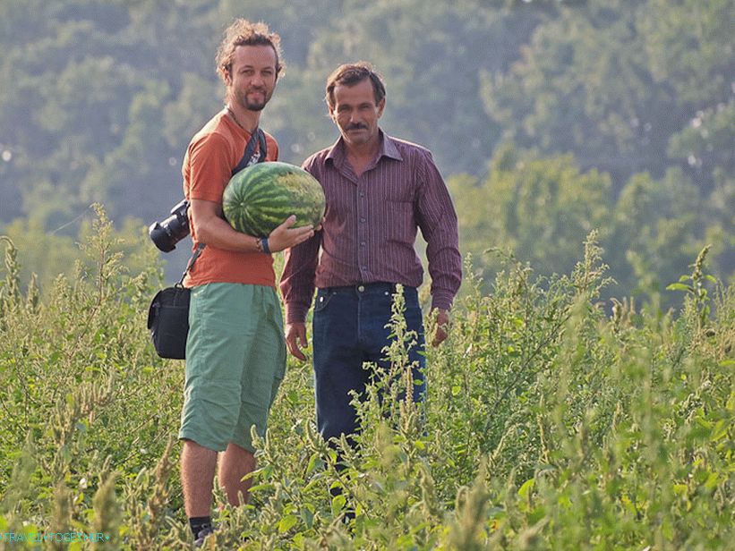 The most delicious watermelon in life