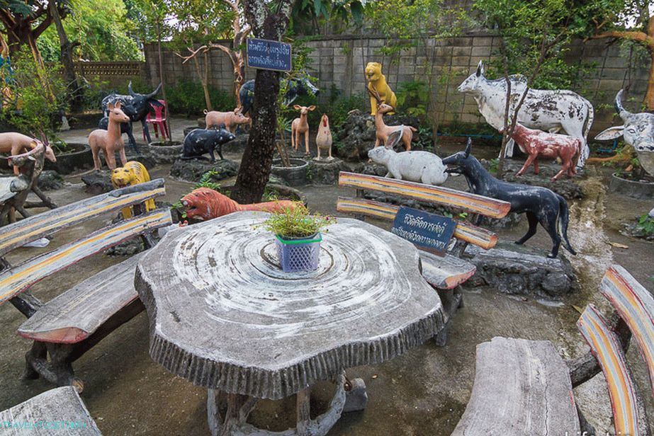 You can relax to sit next to the paradise animals