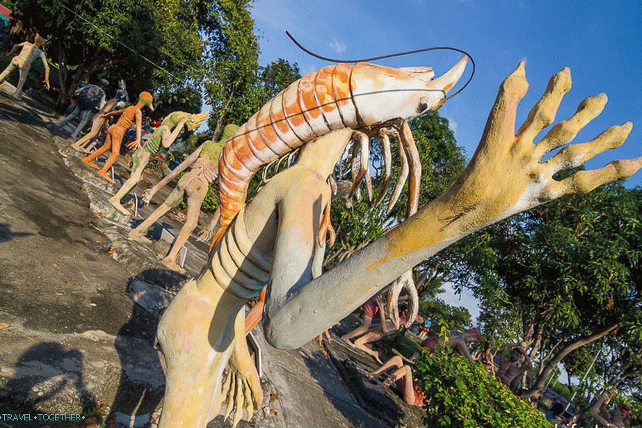 Caution, you can become a shrimp!