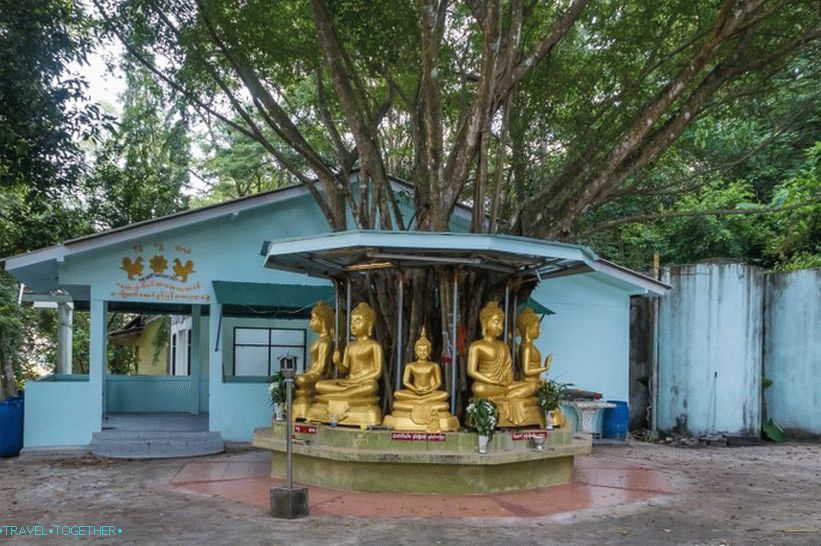 Wat Si Rey Temple (Wat Si Rea) in Phuket - with a big stone and a view