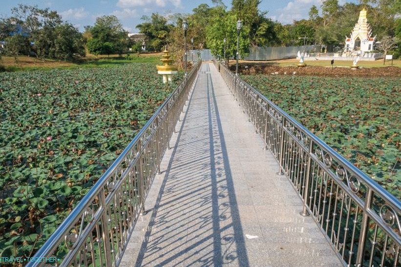 Bridge over the lotus pond