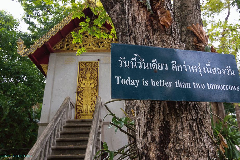 Plates with smart thoughts