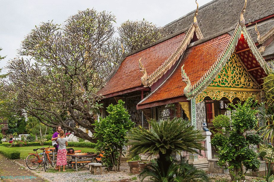 Around Wat Chiang Man is very green.
