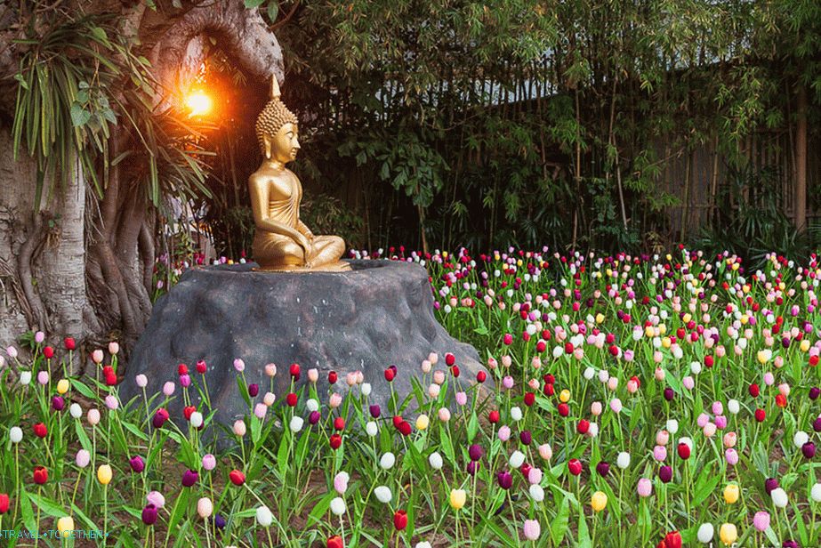 Buddha in the backyard surrounded by artificial tulips